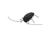 BXL-SOLARBUG20 Cucaracha alimentada por Energia Solar