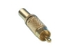 CC-010B Conector RCA Macho Dorado con Aro Negro