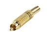 CC-011B Conector RCA Macho Dorado Aros Negros