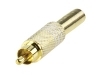 CC-011L Conector RCA Macho Dorado Aros Blancos