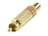 CC-011R Conector RCA Macho Dorado Aros Rojos